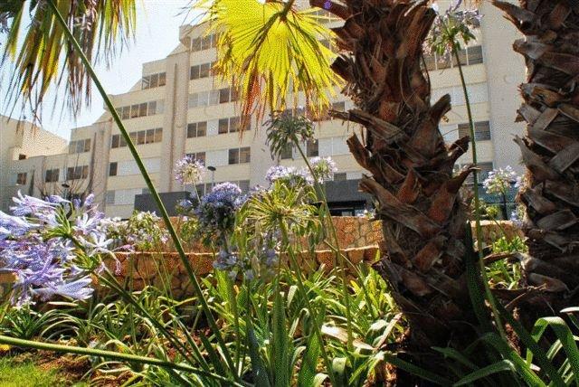 Protur Palmeras Playa Hotel